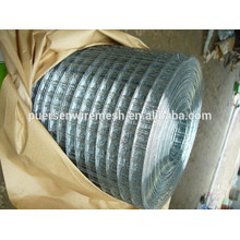 galvanized wire mesh / welded mesh fence panel